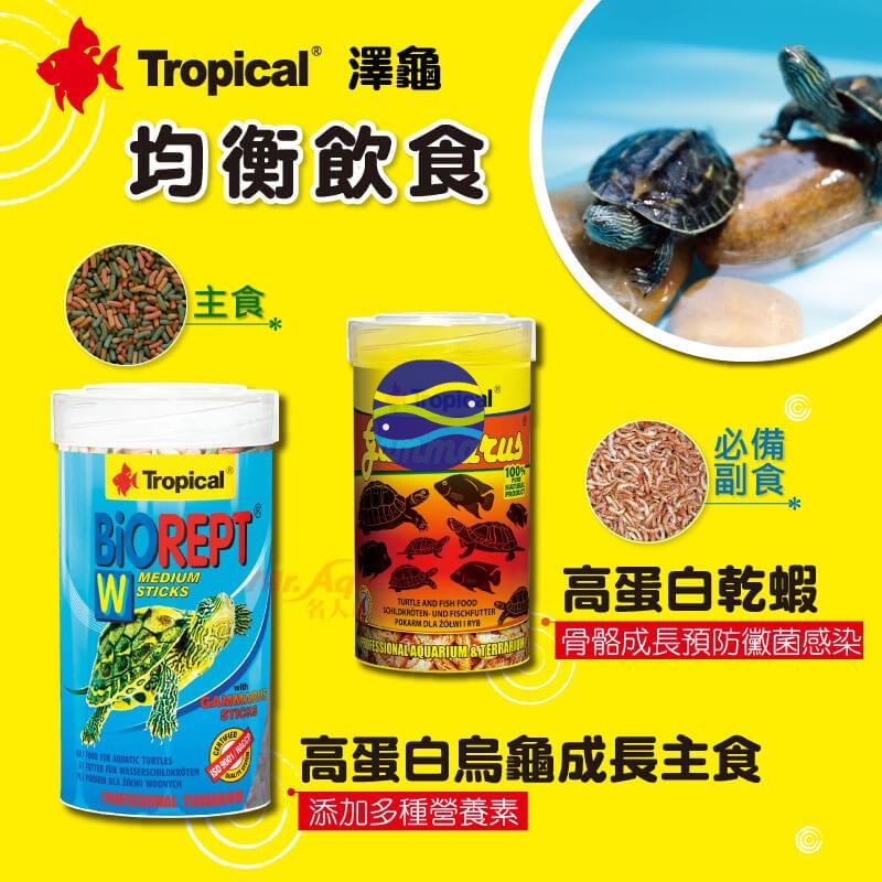 微笑的魚水族☆Tropical-德比克【高蛋白乾蝦+新高蛋白烏龜成長飼料1L】-細節圖2