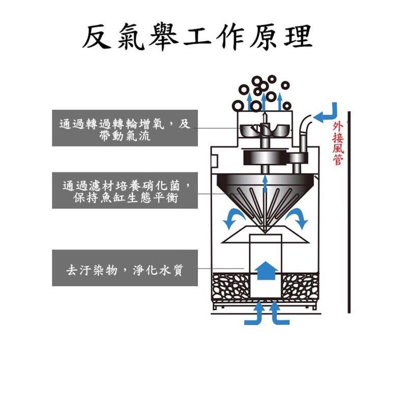 微笑的魚水族☆韓國 CORAL 強制吸便過濾器 水妖精 氣動過濾器 自動吸便器 最新升級版 別買錯!! SHCORAL-細節圖8