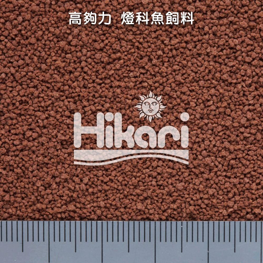 微笑的魚水族☆Hikari-高夠力【燈科⿂飼料12g.22g.45g.80g】燈魚飼料 燈科魚、四間、米老鼠魚-細節圖7