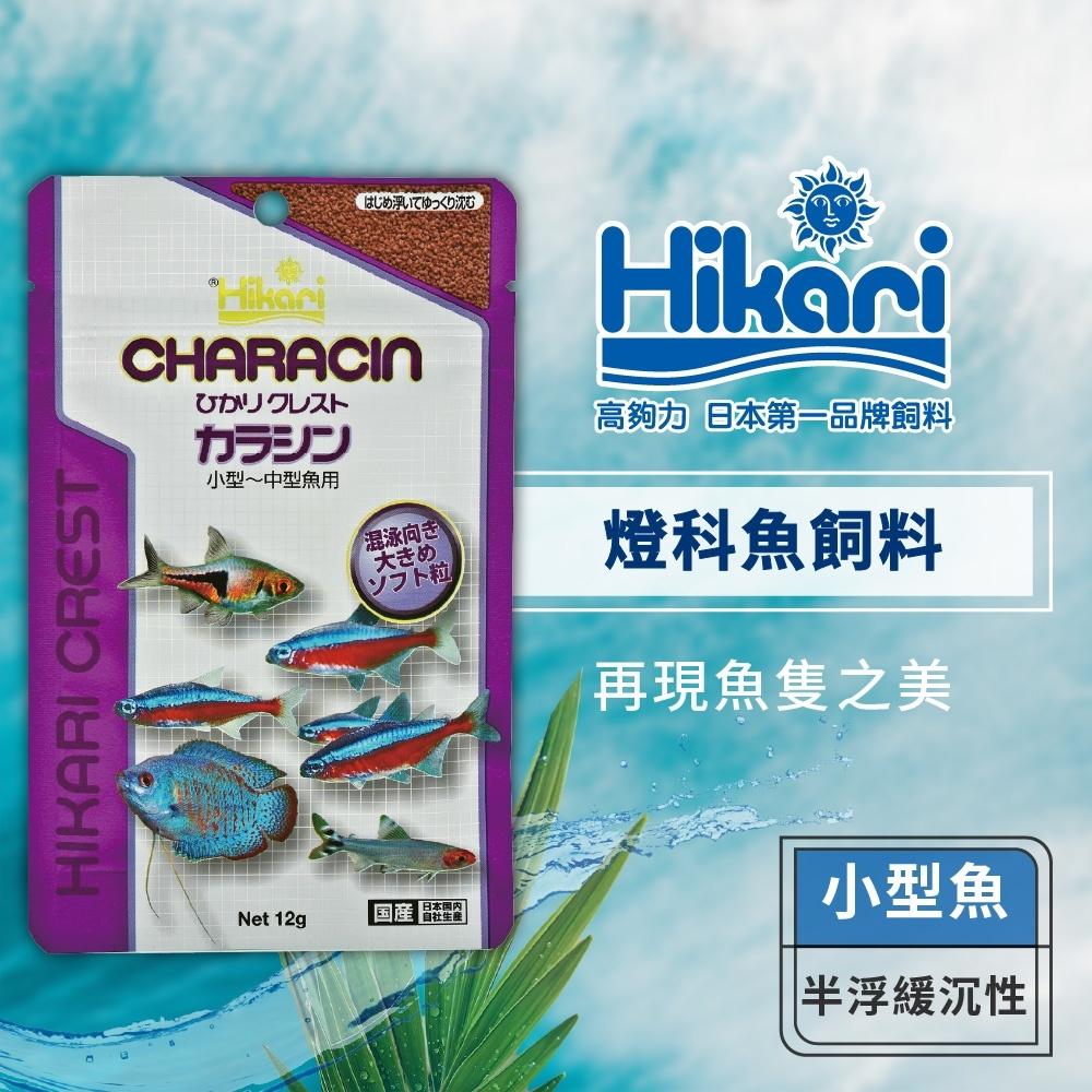 微笑的魚水族☆Hikari-高夠力【燈科⿂飼料12g.22g.45g.80g】燈魚飼料 燈科魚、四間、米老鼠魚-細節圖8