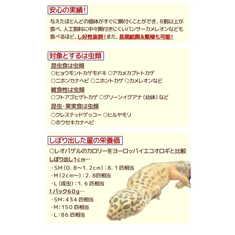 微笑的魚水族☆Hikari-高夠力【⾷蟲動物膏狀飼料60g 守宮】-細節圖3