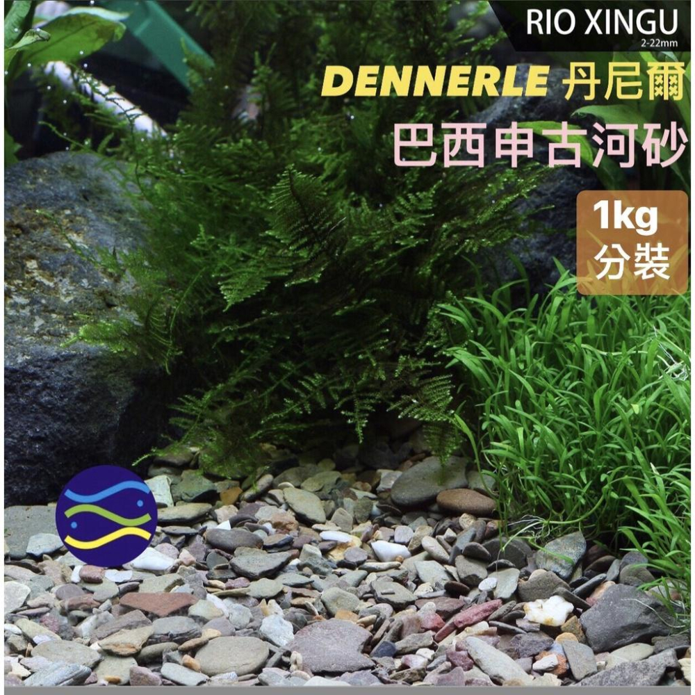 微笑的魚水族☆DENNERLE-丹尼爾【巴西申古河砂1kg.5kg】原採河砂 造景 底砂 底沙 脂鯉 異型-細節圖5