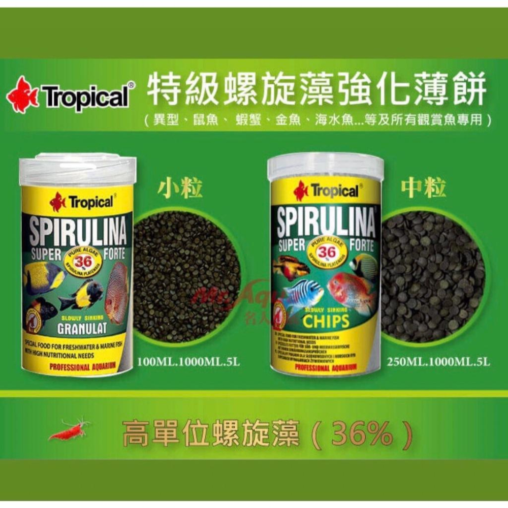 微笑的魚水族☆Tropical【36% 特級螺旋藻 強化薄片(散裝)】螺旋藻 異形飼料 鼠魚 沉底 蝦 飼料 金魚-細節圖2