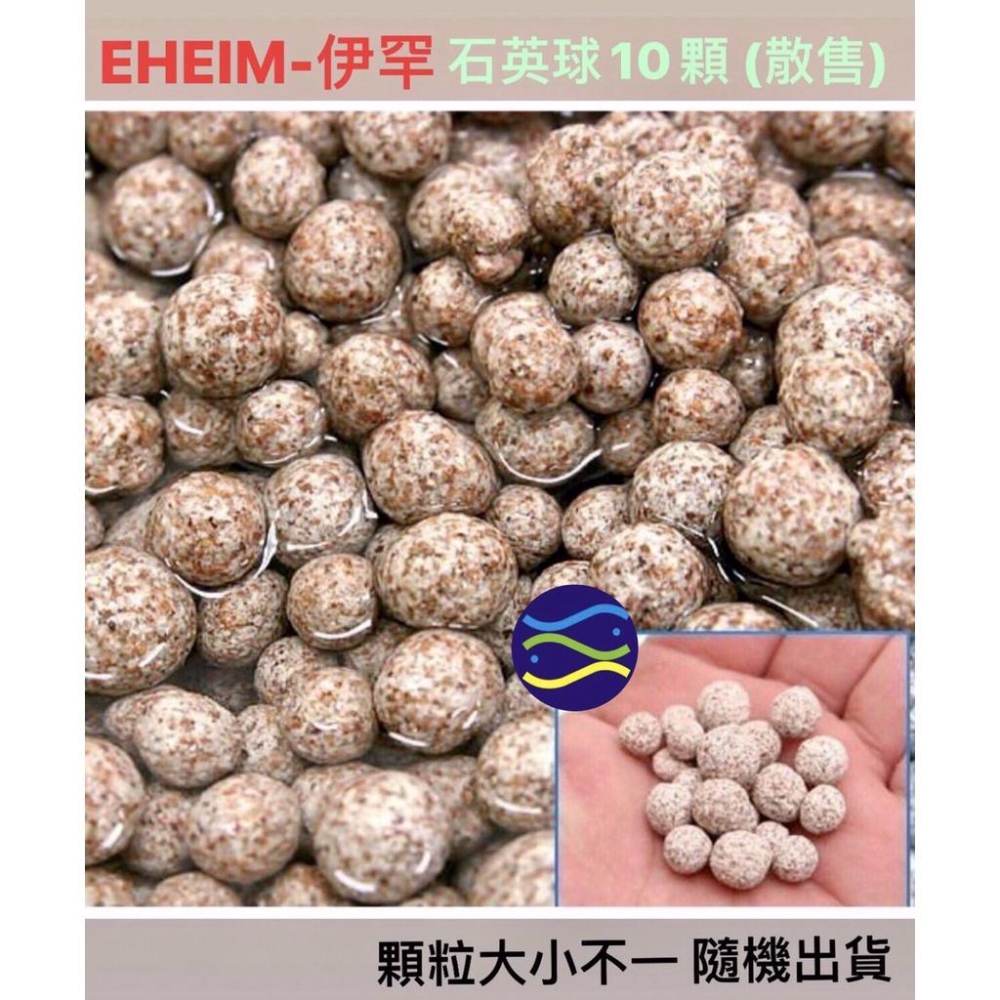 微笑的魚水族☆EHEIM-伊罕【石英球10顆 (散售)】明星培菌濾材 陶瓷環 紳堡公司貨-細節圖3