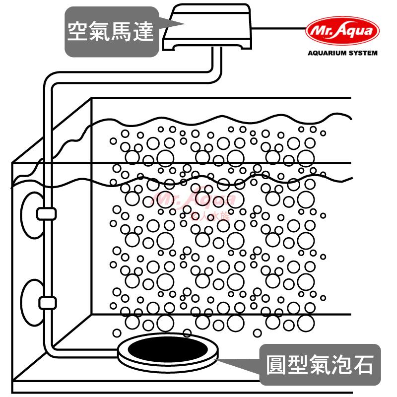 微笑的魚水族☆MR.水族先生【圓型氣泡石7cm.10cm.12cm】中/大/特大淡海水皆適用-細節圖5