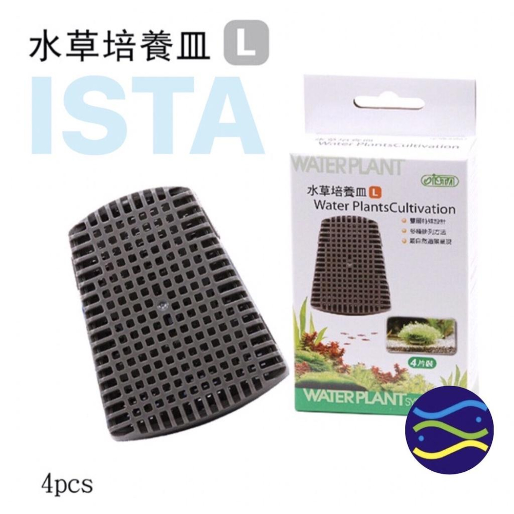 微笑的魚水族☆ISTA-伊士達【水草培養皿M.L】適用墨絲、鹿角苔等前景水草I-865.I-868-細節圖3