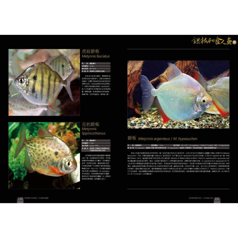 微笑的魚水族☆工具書【大型珍怪魚之脂鯉】TMBIO威智出版社玩家收藏版-細節圖2