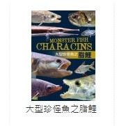 微笑的魚水族☆工具書【大型珍怪魚之脂鯉】TMBIO威智出版社玩家收藏版-細節圖4