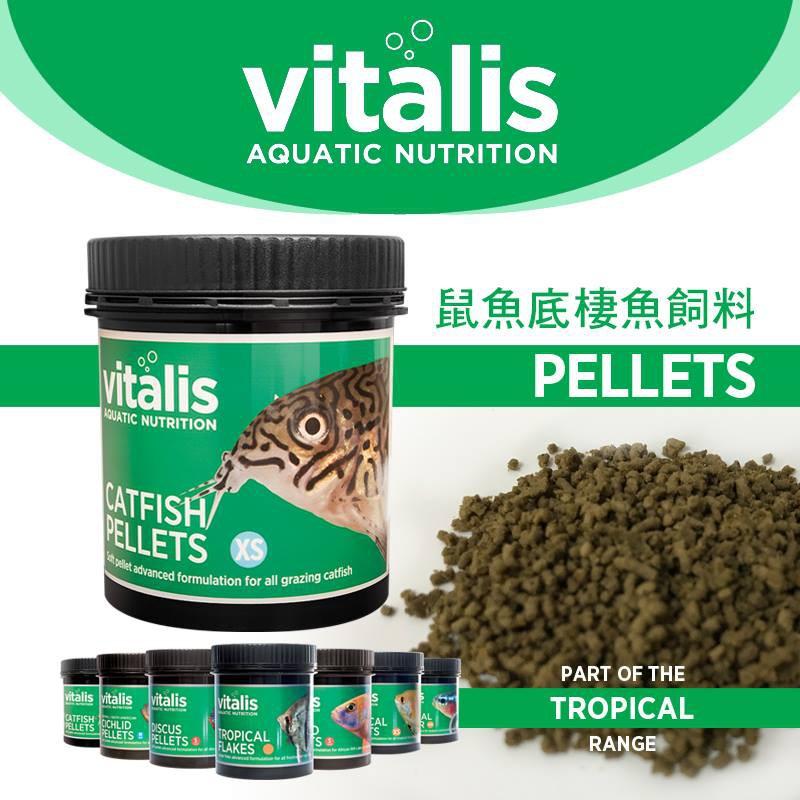 微笑的魚水族☆英國VITALIS【鼠魚底棲魚顆粒飼料260g(XS)】-細節圖2