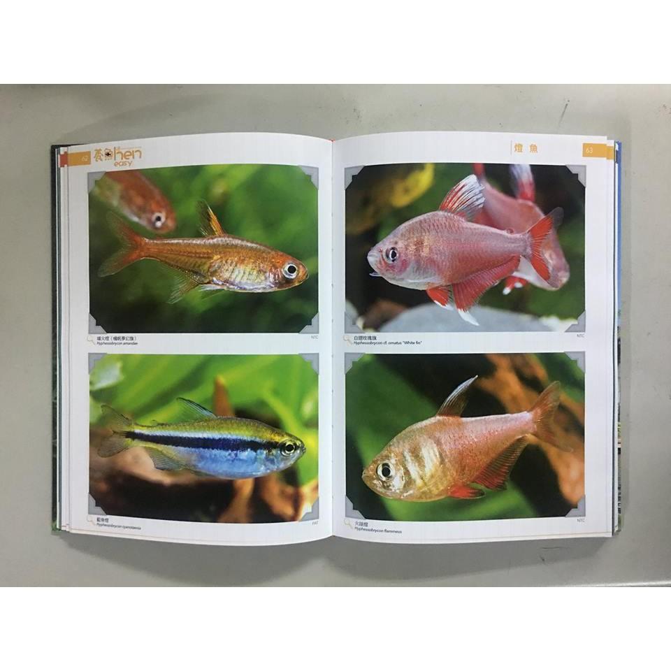 微笑的魚水族☆【工具書】【養魚Hen Easy】魚雜誌-細節圖4