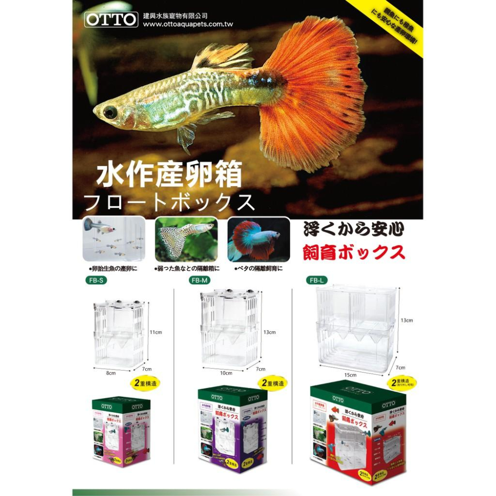 微笑的魚水族☆OTTO-奧圖【2層產卵飼育盒 S/M/L】飼育繁殖盒 隔離盒 孔雀產卵盒-細節圖4