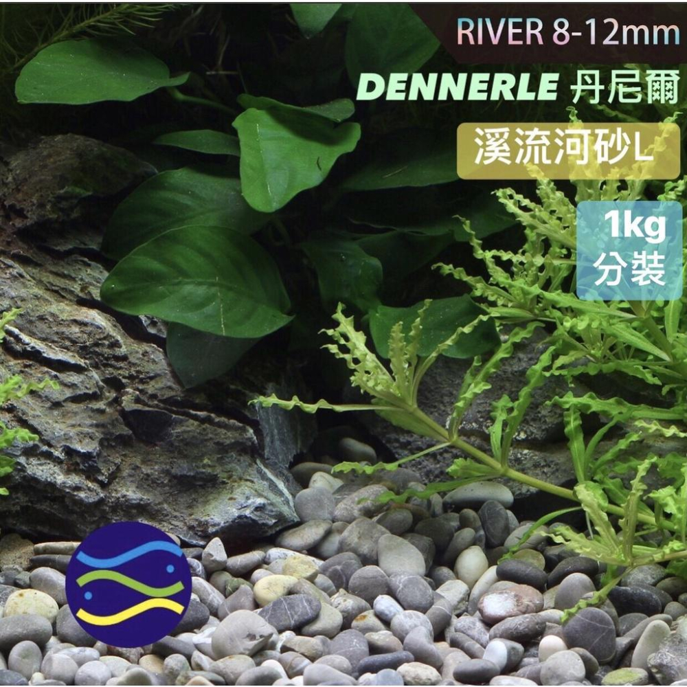 微笑的魚水族☆DENNERLE丹尼爾【溪流河砂L(8-12mm)1kg.5kg】原採河砂 裝飾-細節圖6