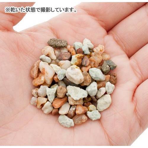 微笑的魚水族☆GEX-五味【烏龜專用底砂800g.2.5kg】螫蝦 寄居蟹 螃蟹 造景裝飾-細節圖5