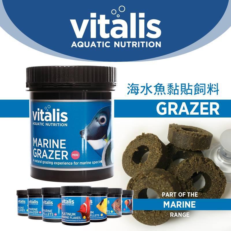 微笑的魚水族☆英國VITALIS【海水魚黏貼飼料(附餵食吸盤)120g】全魚種適用黏貼飼料-細節圖3