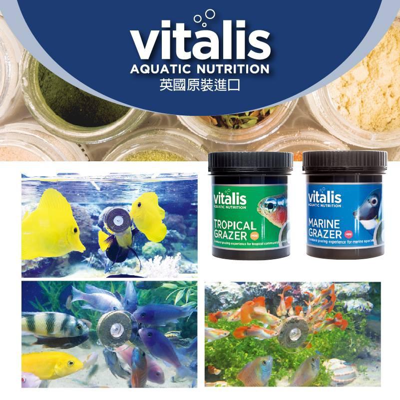 微笑的魚水族☆英國VITALIS【海水魚黏貼飼料(附餵食吸盤)120g】全魚種適用黏貼飼料-細節圖4