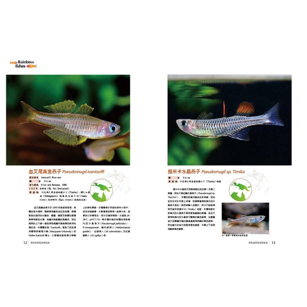 微笑的魚水族☆【工具書】【彩虹魚】TMBIO威智出版社 揭開南島魚族的神秘面紗-細節圖3