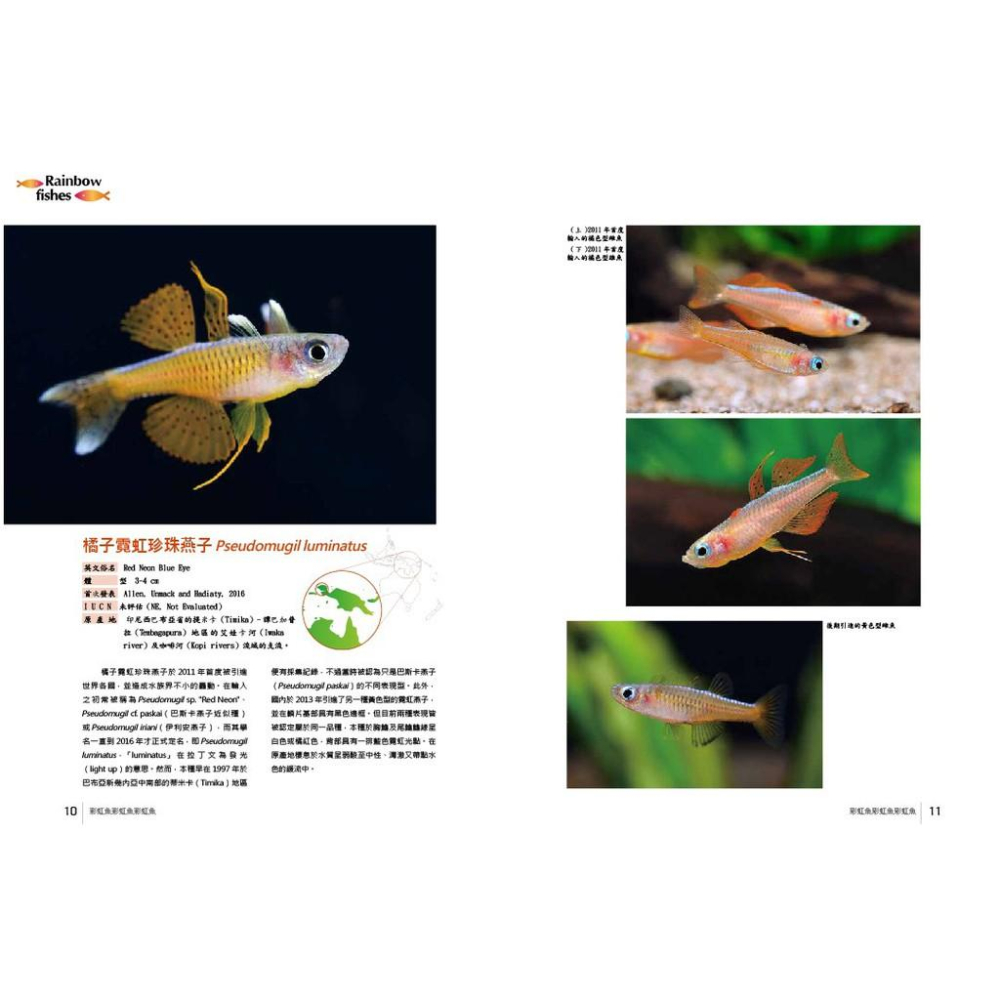 微笑的魚水族☆【工具書】【彩虹魚】TMBIO威智出版社 揭開南島魚族的神秘面紗-細節圖4