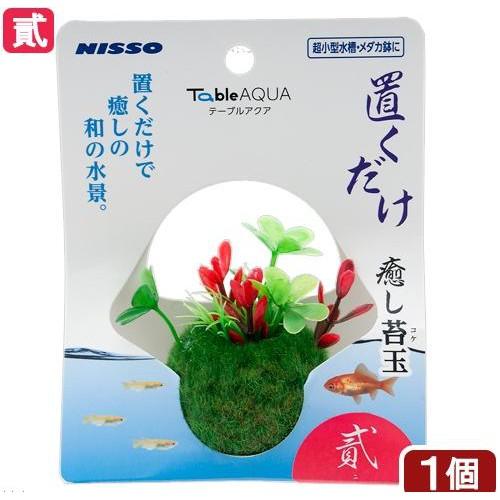 微笑的魚水族☆日本NISSO【療育 前景草藻球】鬥魚 睡蓮 浮萍 產卵 稻田魚 躲藏 假水草-細節圖5