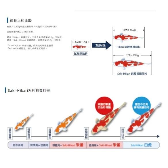 微笑的魚水族☆Hikari-高夠力【Saki 錦鯉增體飼料M-500g】-細節圖5