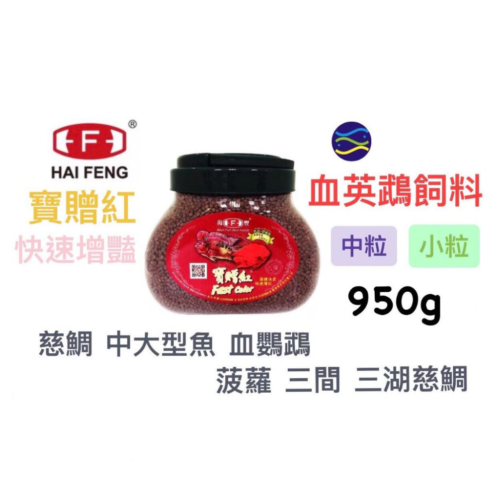 微笑的魚水族☆HAI FENG-海豐【寶贈紅 慈鯛 中大型魚增艷飼料】快速增豔 神仙魚 血鸚鵡 菠蘿 三間 三湖慈鯛-細節圖4