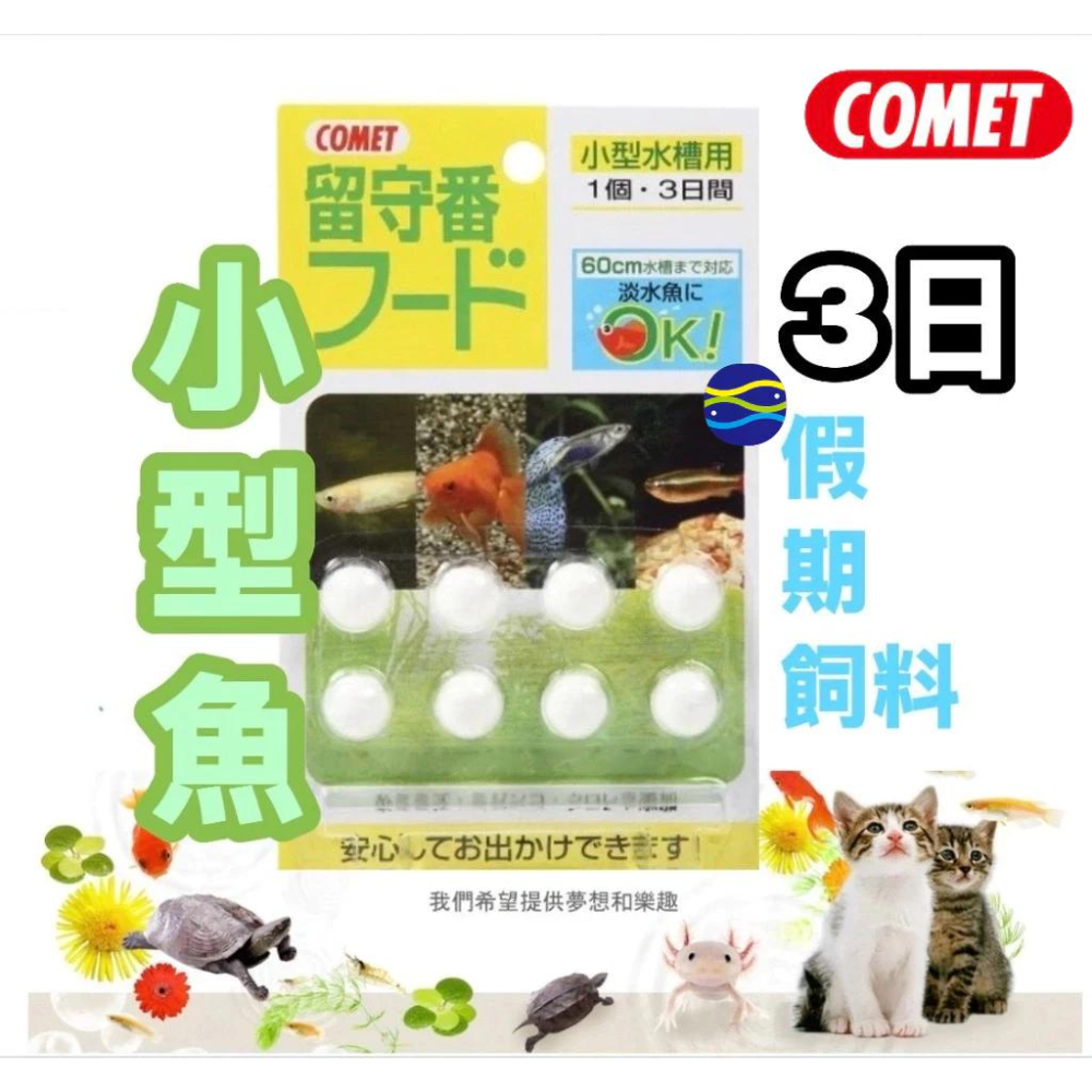 微笑的魚水族☆COMET可美多【小型魚 金魚 熱帶魚 三日假期飼料】魚型 假期飼料 小型魚 孔雀魚 燈魚飼料 假日飼料-細節圖2