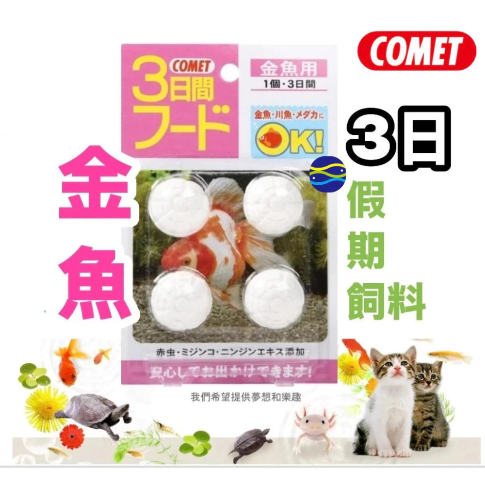 微笑的魚水族☆COMET可美多【小型魚 金魚 熱帶魚 三日假期飼料】魚型 假期飼料 小型魚 孔雀魚 燈魚飼料 假日飼料-細節圖3