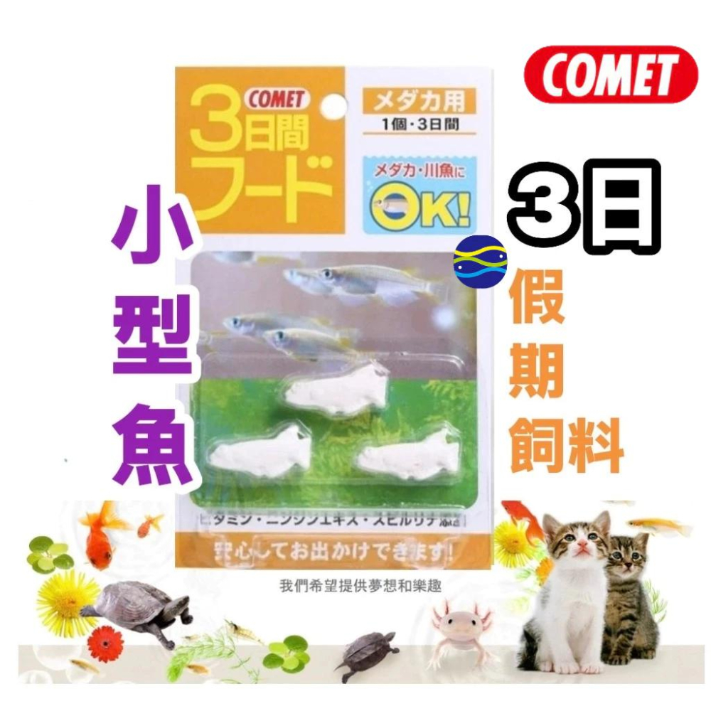 微笑的魚水族☆COMET可美多【小型魚 金魚 熱帶魚 三日假期飼料】魚型 假期飼料 小型魚 孔雀魚 燈魚飼料 假日飼料-細節圖5