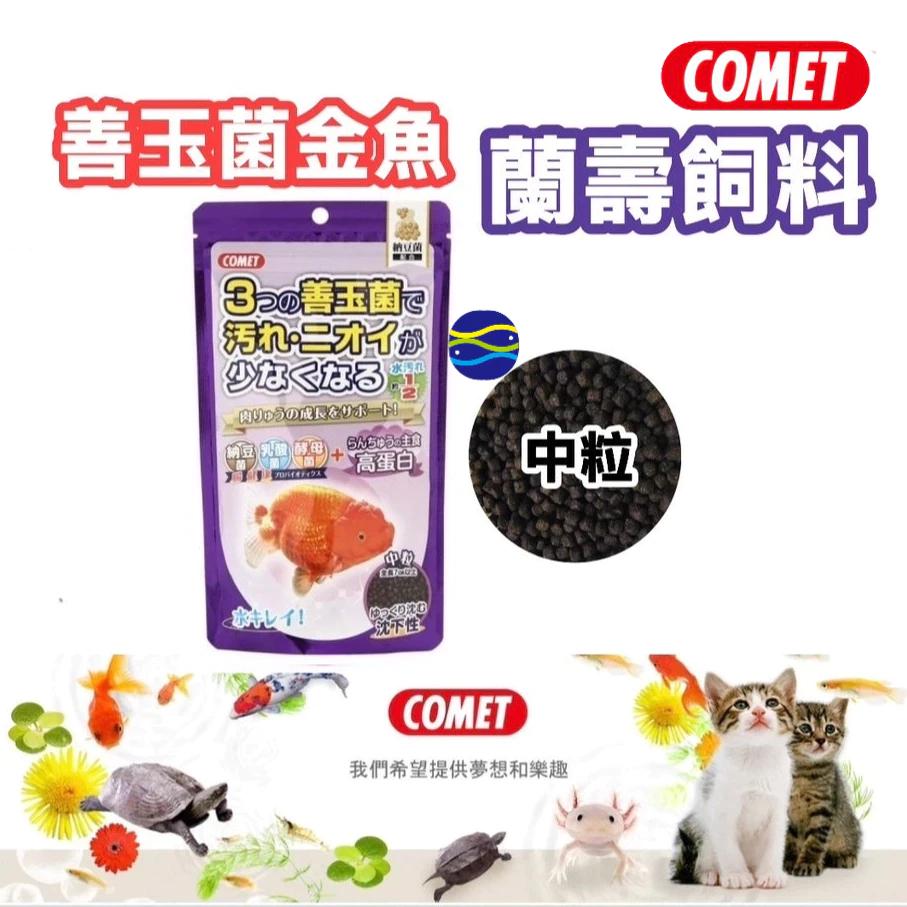 微笑的魚水族☆COMET可美多【善玉菌金魚蘭壽飼料(下沉性)90g.200g】金魚主食 增體 蘭壽 錦鯉 金魚 獅頭-細節圖2