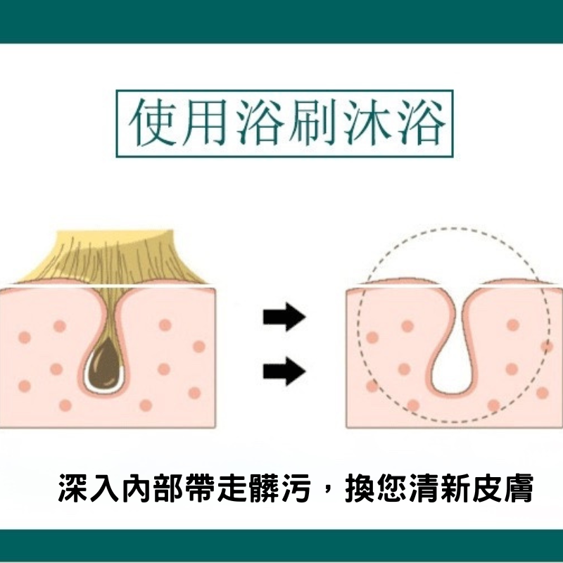 【台灣快速出貨】乾刷 濕刷 沐浴刷 豬鬃毛刷 實木天然 兒童洗澡刷 短柄省力 搓背神器 豬鬃沐浴刷子-細節圖3