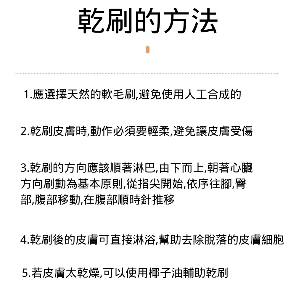 【台灣快速出貨】乾刷 濕刷 沐浴刷 豬鬃毛刷 實木天然 兒童洗澡刷 短柄省力 搓背神器 豬鬃沐浴刷子-細節圖8