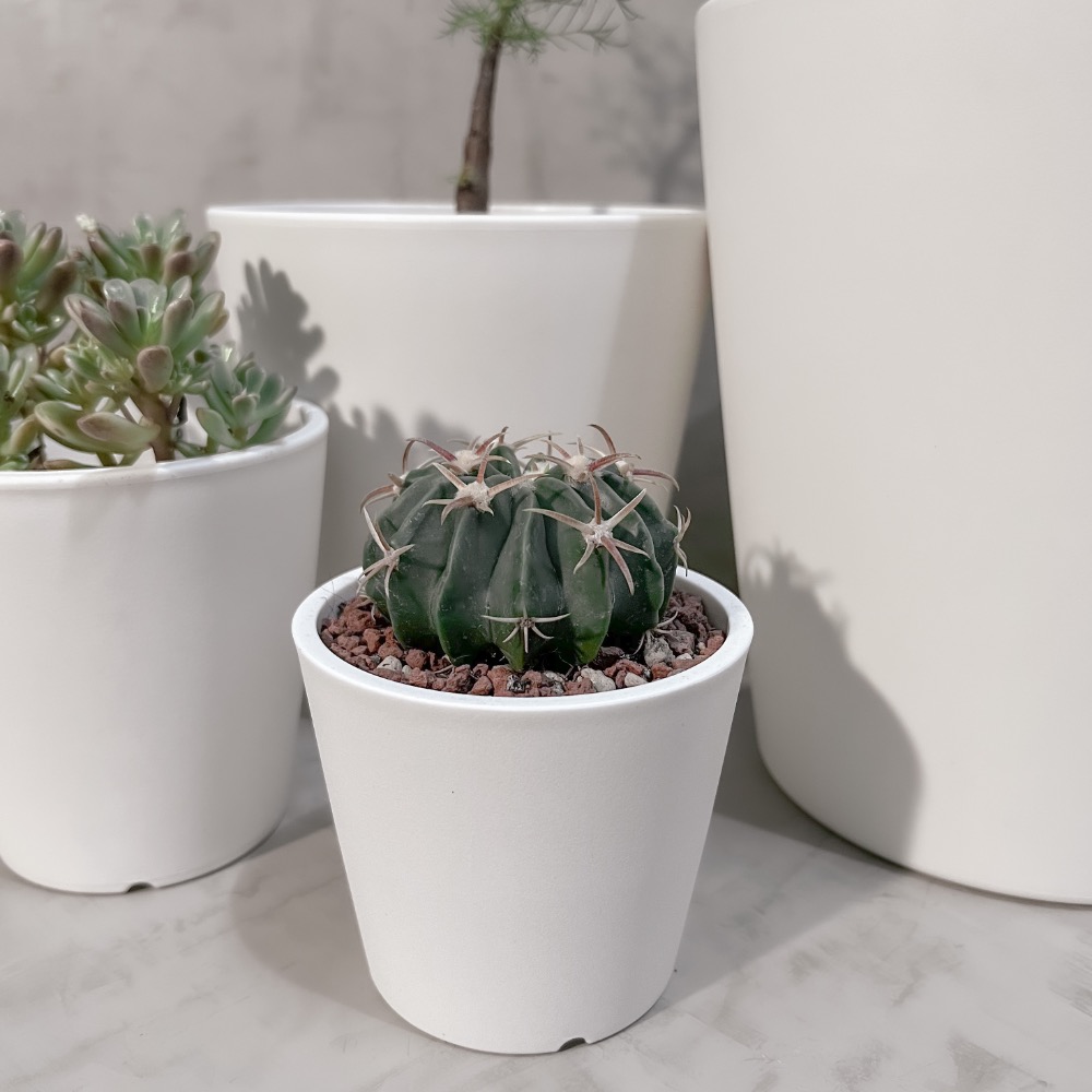 ❚ 盆器 ❚ 🔥直接優惠 ▸經典黑膠盆▸日系黑膠盆▸植物缽▸日系花盆▸質感盆器-細節圖4