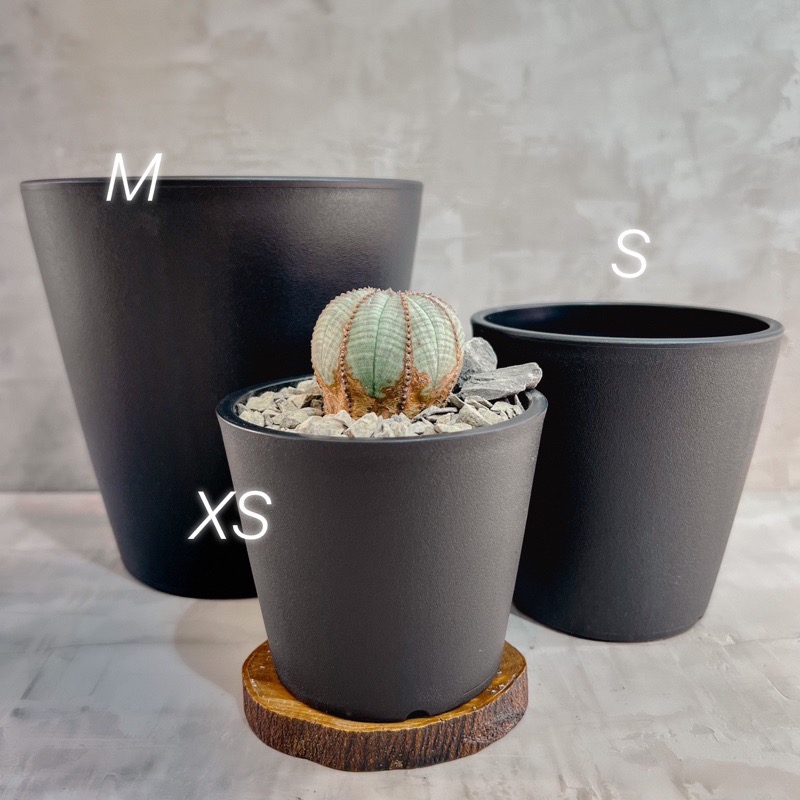 ❚ 盆器 ❚ 🔥直接優惠 ▸經典黑膠盆▸日系黑膠盆▸植物缽▸日系花盆▸質感盆器-細節圖5