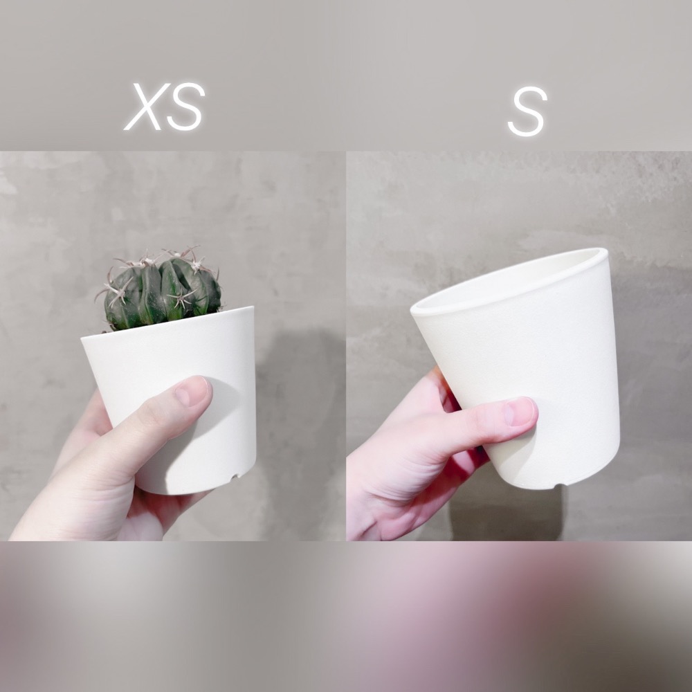 ❚ 盆器 ❚ 🔥直接優惠 ▸經典黑膠盆▸日系黑膠盆▸植物缽▸日系花盆▸質感盆器-細節圖6