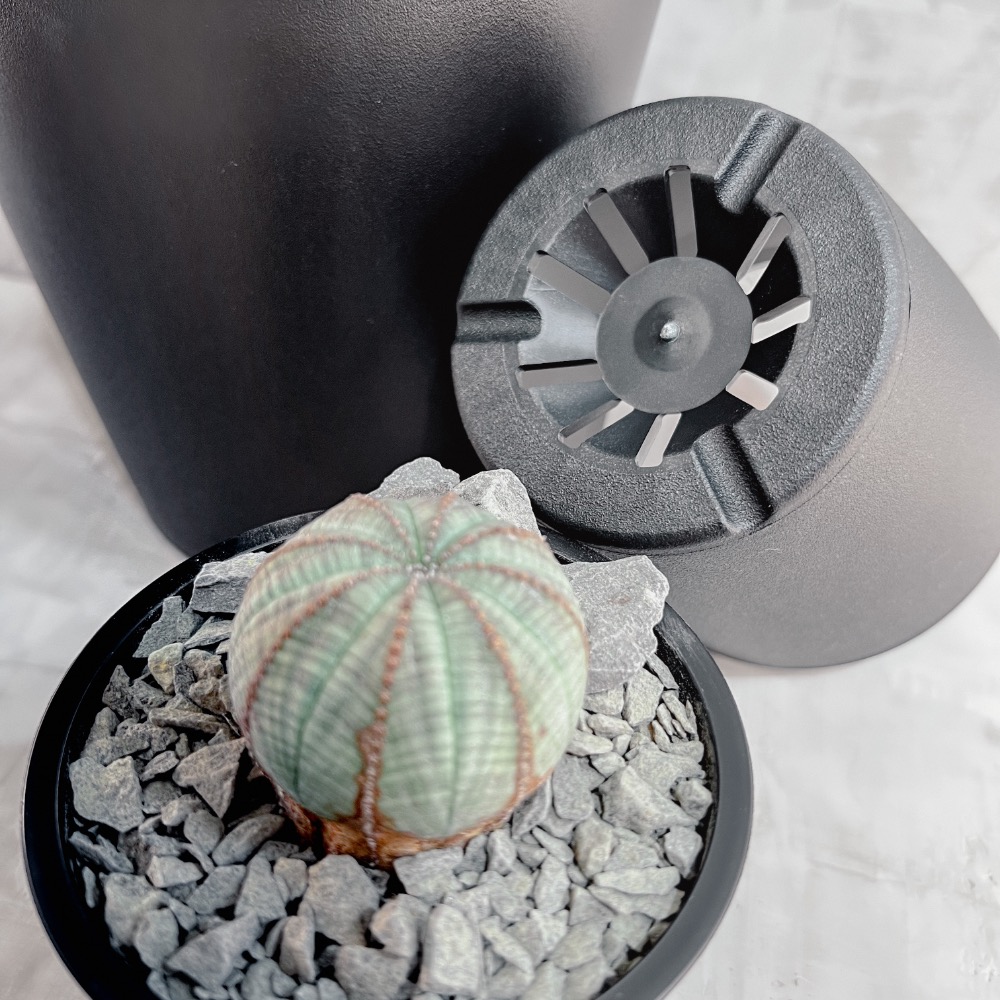 ❚ 盆器 ❚ 🔥直接優惠 ▸經典黑膠盆▸日系黑膠盆▸植物缽▸日系花盆▸質感盆器-細節圖7