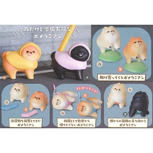小仔的玩具窩★扭蛋「現貨」stasto 轉蛋 動物愛好系列-散步博美公仔 P2 2 博美犬 全10款 博美-細節圖2