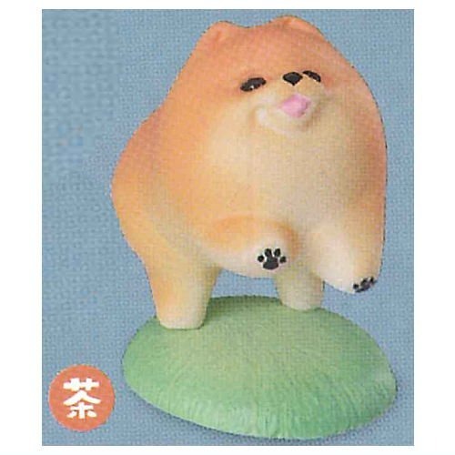 小仔的玩具窩★扭蛋「現貨」stasto 轉蛋 動物愛好系列-散步博美公仔 P2 2 博美犬 全10款 博美-細節圖10