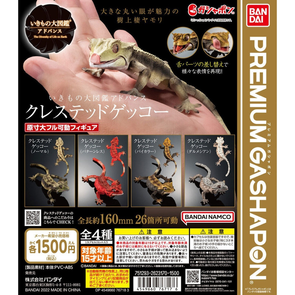 小仔的玩具窩★日版GASHAPON「現貨」 BANDAI 生物大圖鑑 扭蛋 睫角守宮 P1 P2 蜥蜴 守宮 爬蟲類-細節圖2