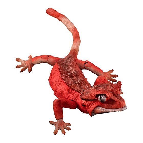 小仔的玩具窩★日版GASHAPON「現貨」 BANDAI 生物大圖鑑 扭蛋 睫角守宮 P1 P2 蜥蜴 守宮 爬蟲類-細節圖5