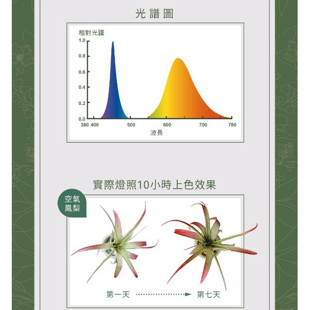 含稅 舞光 LED植物燈 植物燈管 T8 2呎 植物燈 全光譜 多肉 補光燈 植物生長燈 植物日照燈 紅藍光 適用植株-細節圖4