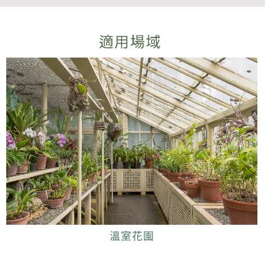 含稅 舞光 LED植物燈 植物燈管 T8 2呎 植物燈 全光譜 多肉 補光燈 植物生長燈 植物日照燈 紅藍光 適用植株-細節圖5