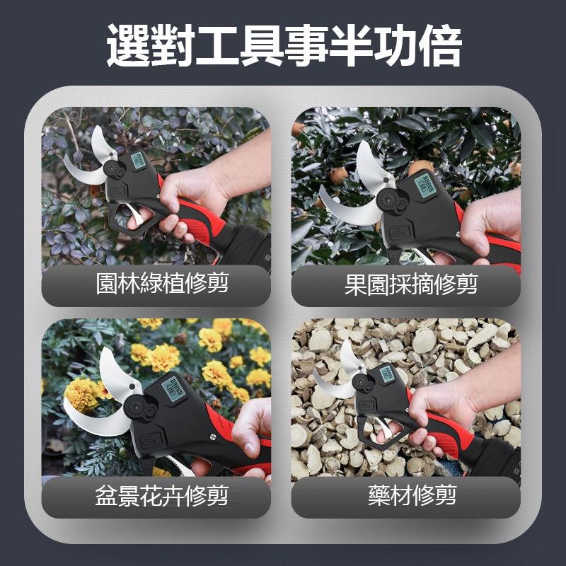 剪刀 電動剪 樹枝剪 電動剪刀 園藝剪刀 【免運】德國進口電動剪刀 果樹修枝剪 園林專用粗枝剪刀-細節圖4