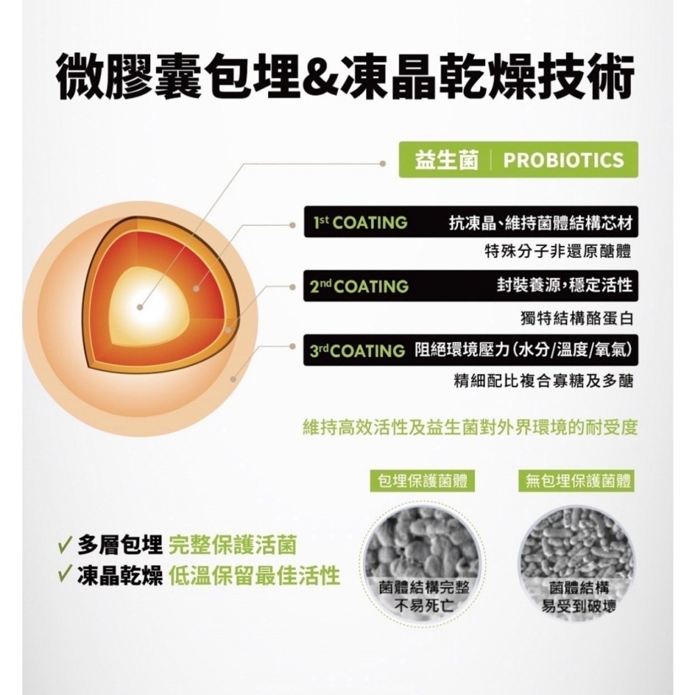 《限時優惠》BM益生菌酵素果凍 台灣製造最新效期．新品促銷  宿便剋星  男女可食用 全素 排便 順暢-細節圖3