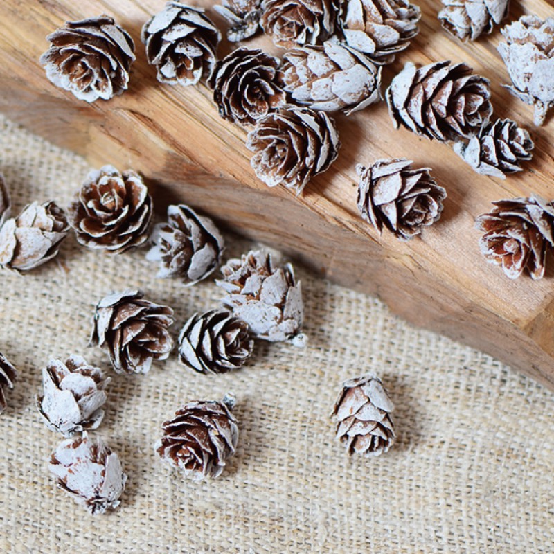 [台灣出貨] 天然乾燥松果粒 乾果 聖誕節 花圈 DIY材料 香薰蠟燭材料 玻璃罩花材 - 暖暖好日-細節圖2