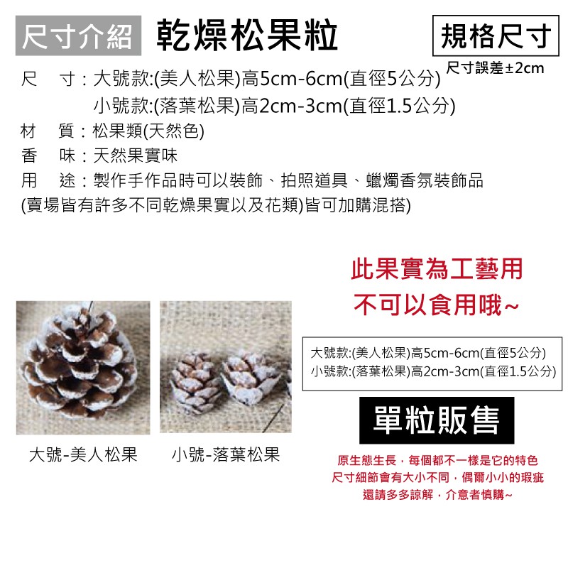[台灣出貨] 天然乾燥松果粒 乾果 聖誕節 花圈 DIY材料 香薰蠟燭材料 玻璃罩花材 - 暖暖好日-細節圖3