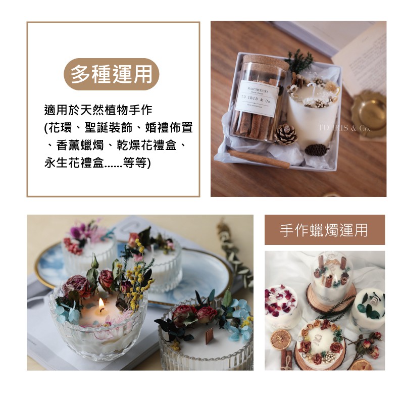 [台灣出貨] 天然乾燥松果粒 乾果 聖誕節 花圈 DIY材料 香薰蠟燭材料 玻璃罩花材 - 暖暖好日-細節圖4