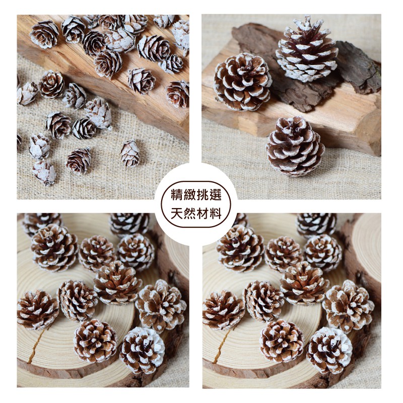 [台灣出貨] 天然乾燥松果粒 乾果 聖誕節 花圈 DIY材料 香薰蠟燭材料 玻璃罩花材 - 暖暖好日-細節圖5