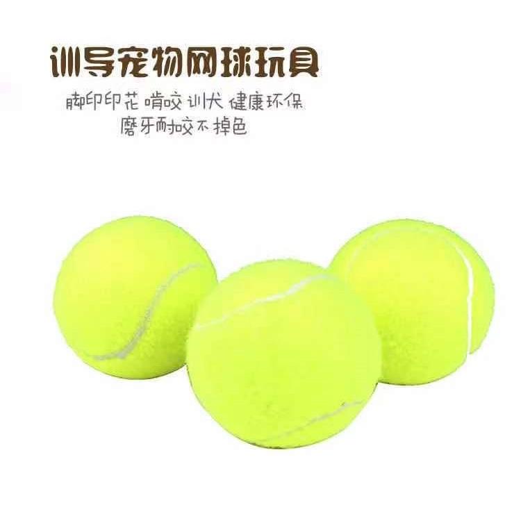 網球 tennis 寵物玩具 丟球 接球-細節圖4