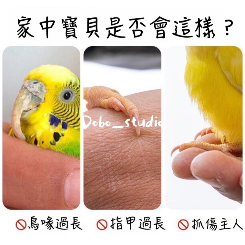 鳥我一下好嗎🍀鳥用磨砂站杆 鸚鵡磨趾棒 鳥籠配件 鸚鵡磨甲 磨嘴鳥玩具 鸚鵡磨指棍 磨砂站棍 磨指甲 站架 虎皮 牡丹-細節圖3