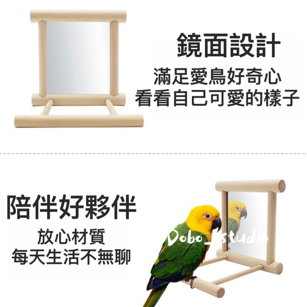 鳥我一下好嗎🍀鸚鵡鏡子站架 贈鈴鐺球 磨爪棒 鳥站桿 鏡面 鏡子 中小型鸚鵡 站台 寵物站棍 鸚鵡 鸚鵡遊戲架  爬架-細節圖4