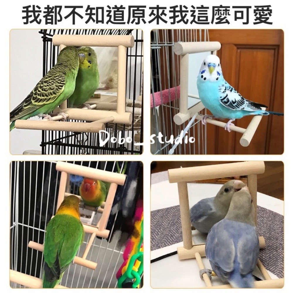 鳥我一下好嗎🍀鸚鵡鏡子站架 贈鈴鐺球 磨爪棒 鳥站桿 鏡面 鏡子 中小型鸚鵡 站台 寵物站棍 鸚鵡 鸚鵡遊戲架  爬架-細節圖6